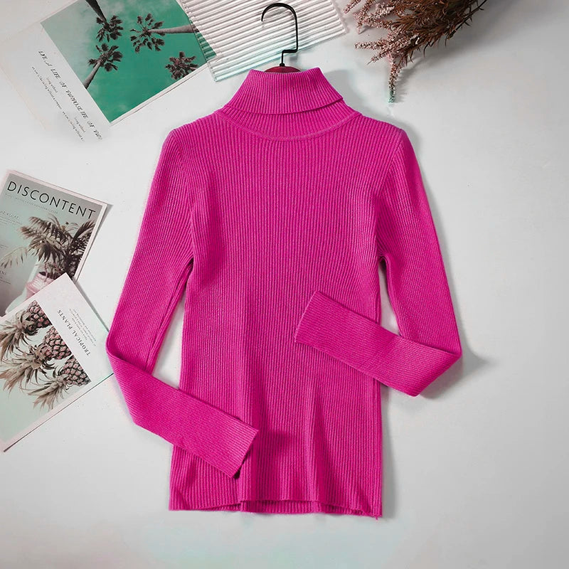 Women Turtleneck Sweater