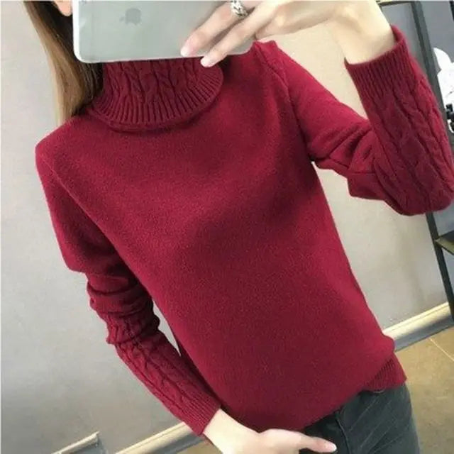 Women Turtleneck Winter Sweater Women 2025