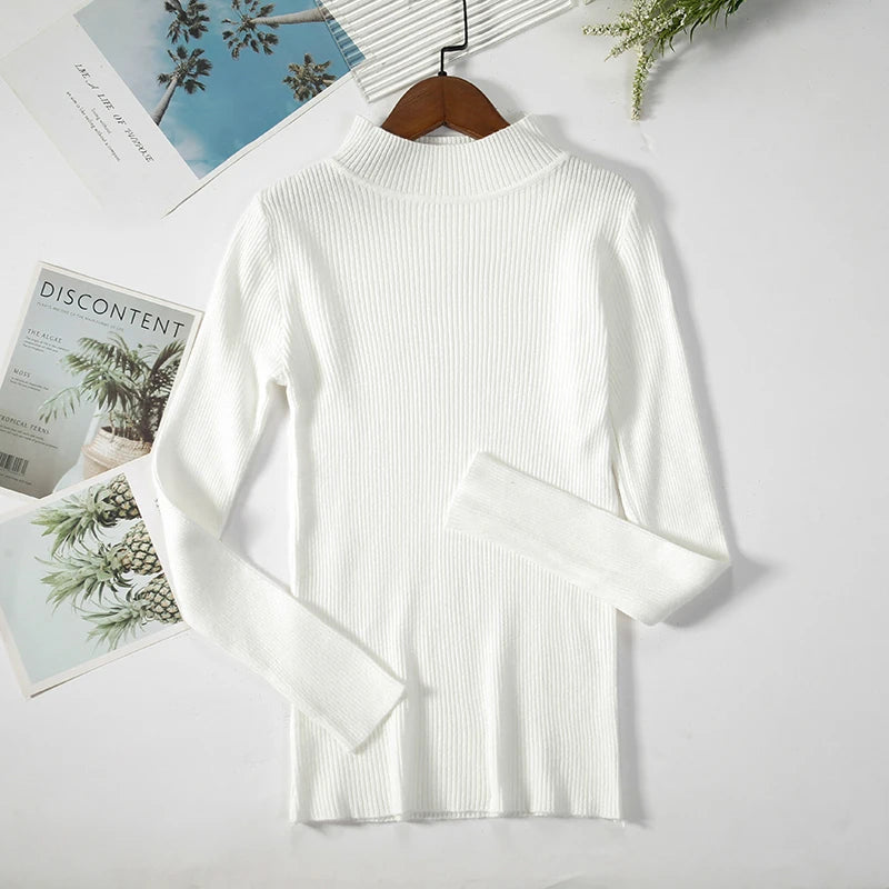 Women Turtleneck Sweater