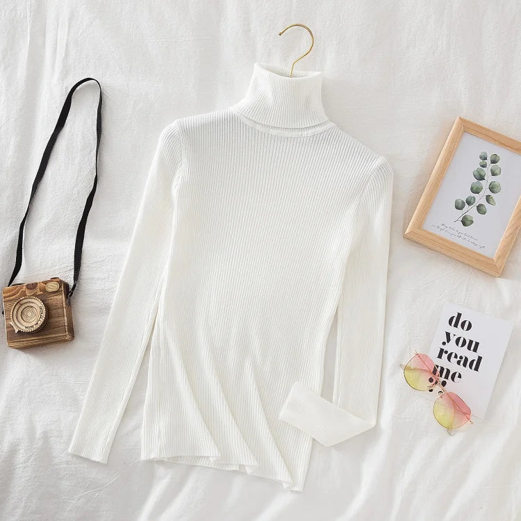 Women Turtleneck Sweater