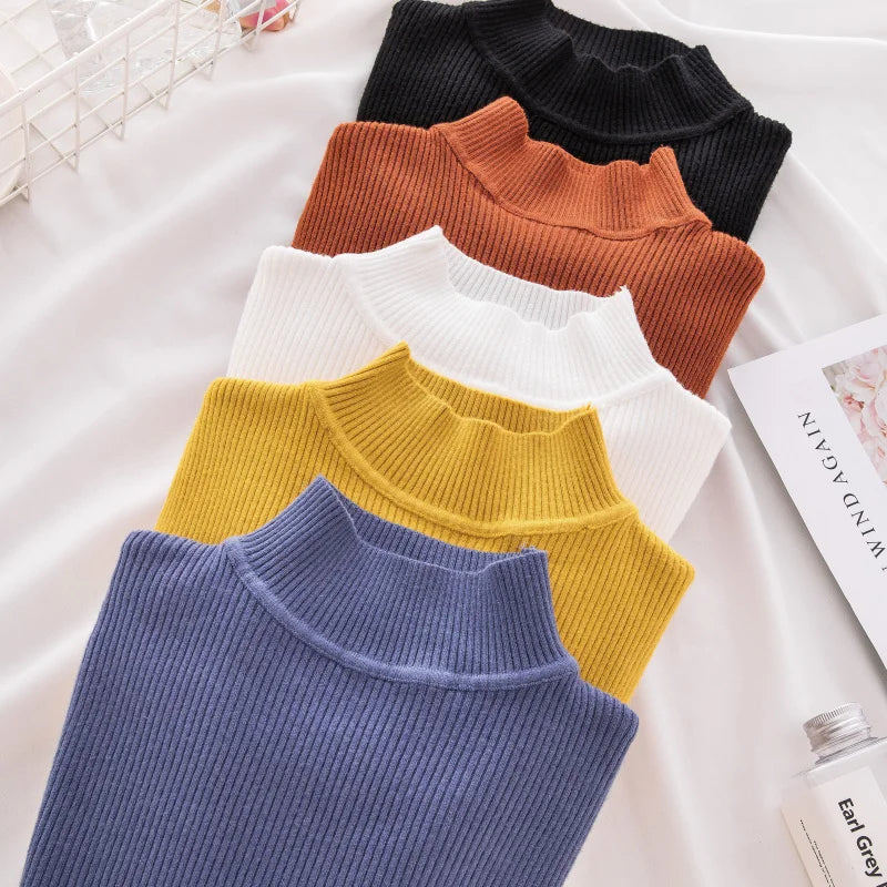 Women Turtleneck Sweater