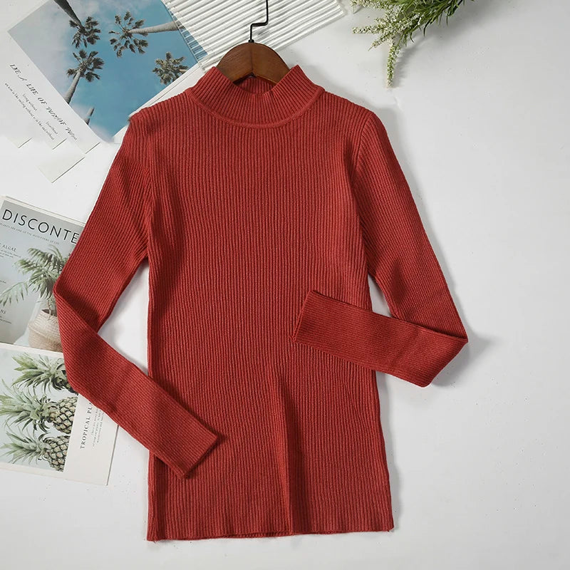 Women Turtleneck Sweater