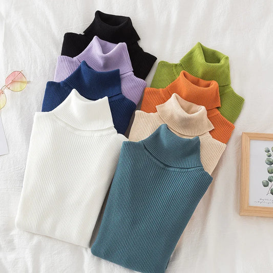 Women Turtleneck Sweater