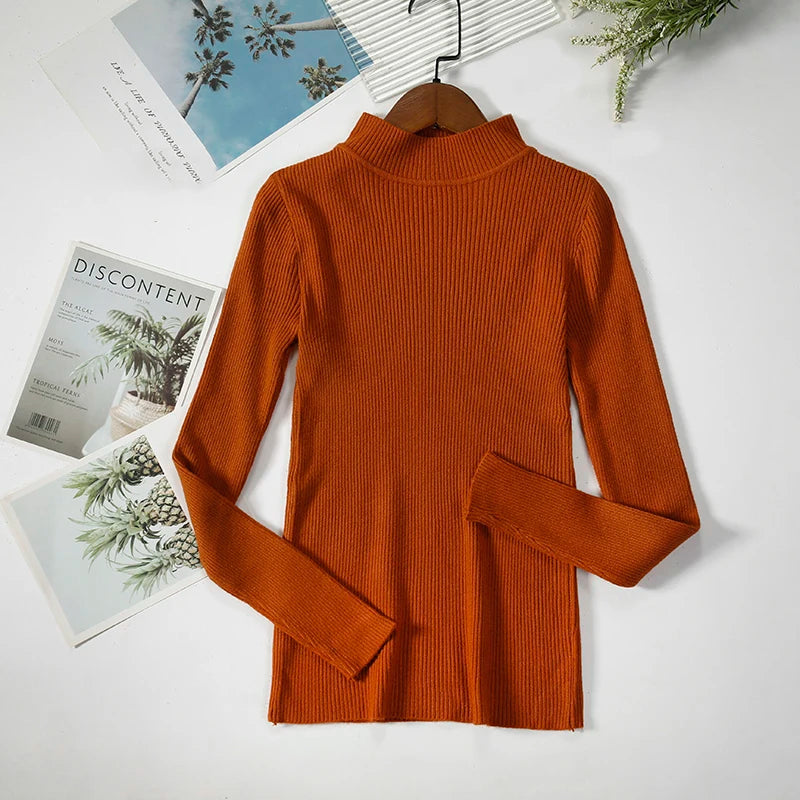 Women Turtleneck Sweater